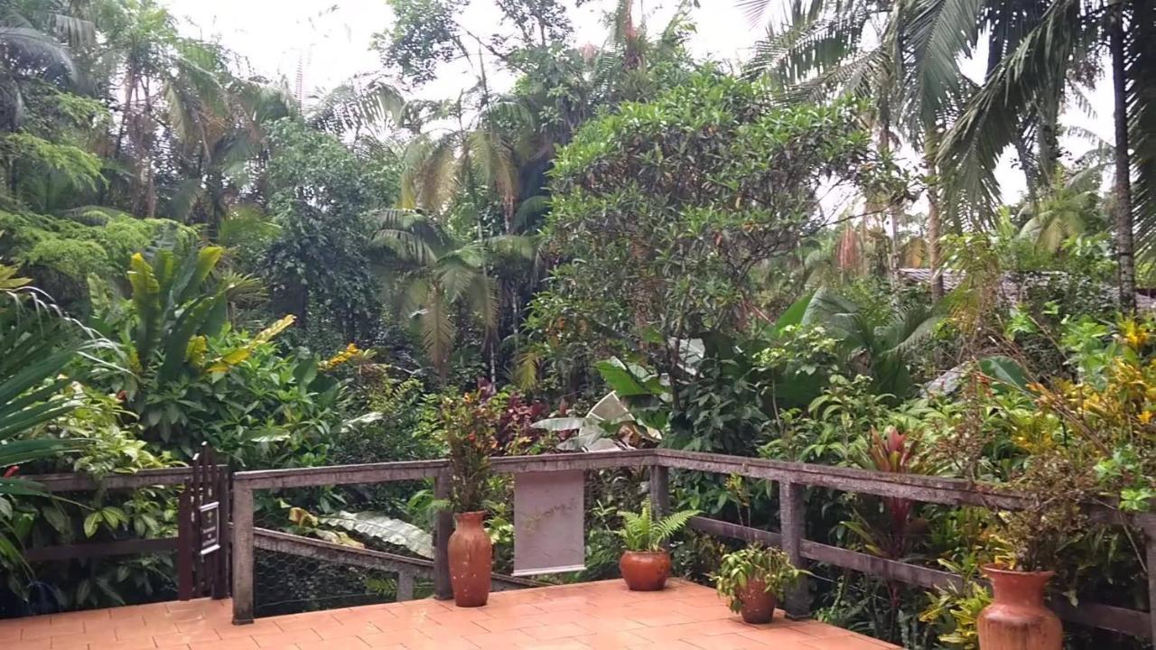 Pousada Do Oasis Morretes Luaran gambar