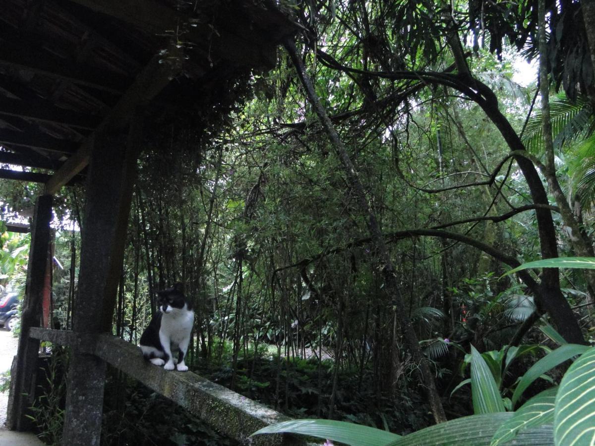 Pousada Do Oasis Morretes Luaran gambar