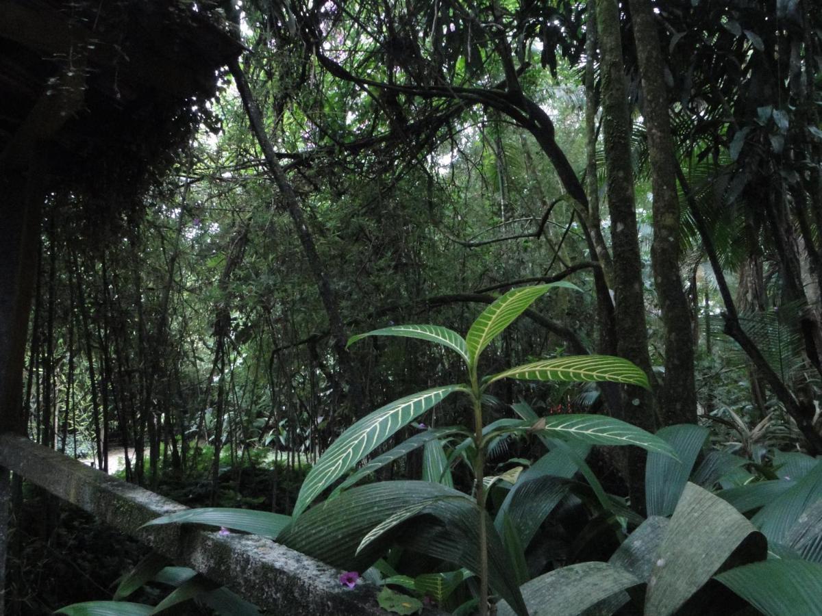 Pousada Do Oasis Morretes Luaran gambar