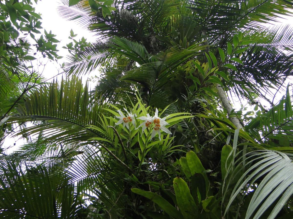 Pousada Do Oasis Morretes Luaran gambar